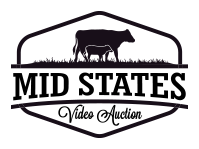 Mid States Video Auction